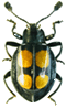 logo.gif